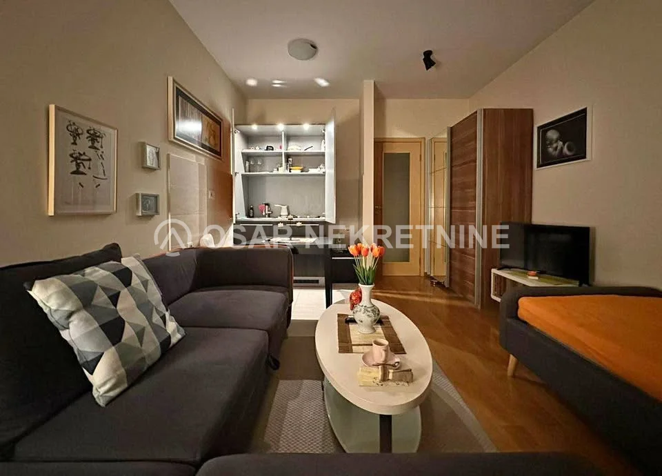 Modernes Studio-Apartment zur Miete in Podgorica, Blok 6