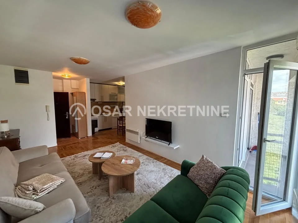 Modern 2-Bedroom Apartment for Rent in Podgorica, 60 m²