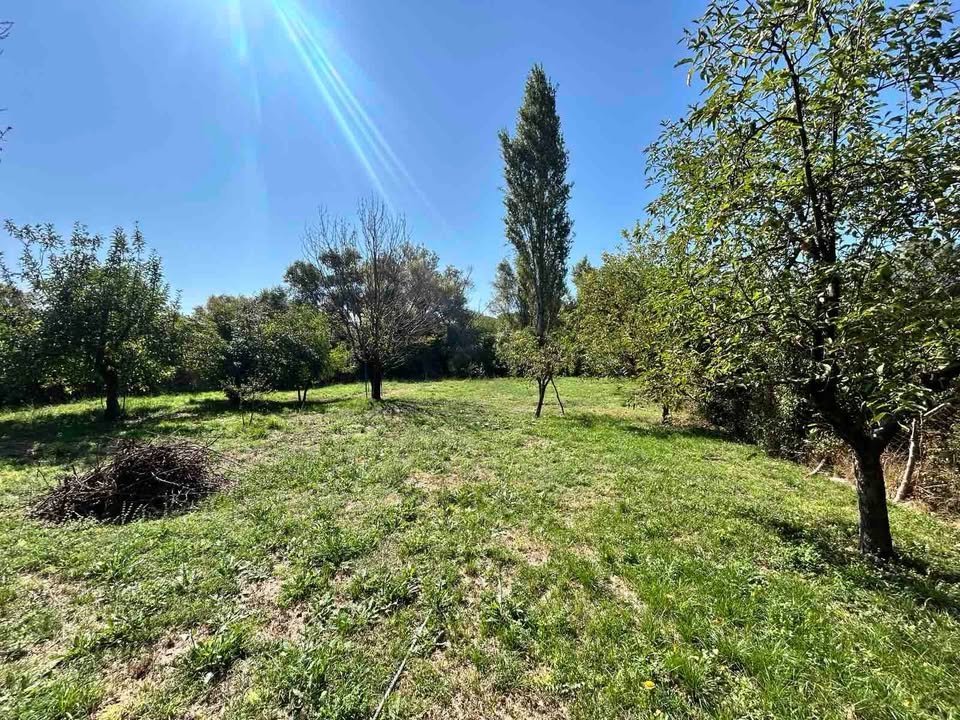 Podgorica _ PODGORICA II _ Ev _ 0 ODA _ 145 m² _ 0. KAT _ Mobilyalı
