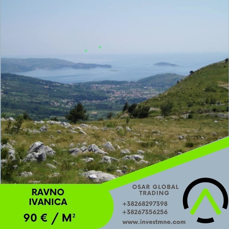 Ravno _ IVANICA _ Arsa _ 40000 m²