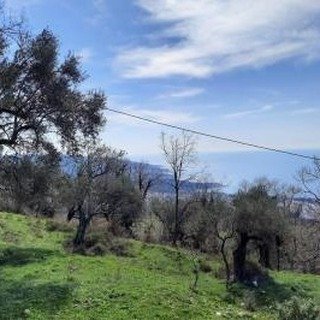 Bar _ DOBRA VODA _ Arsa _ 2600 m²