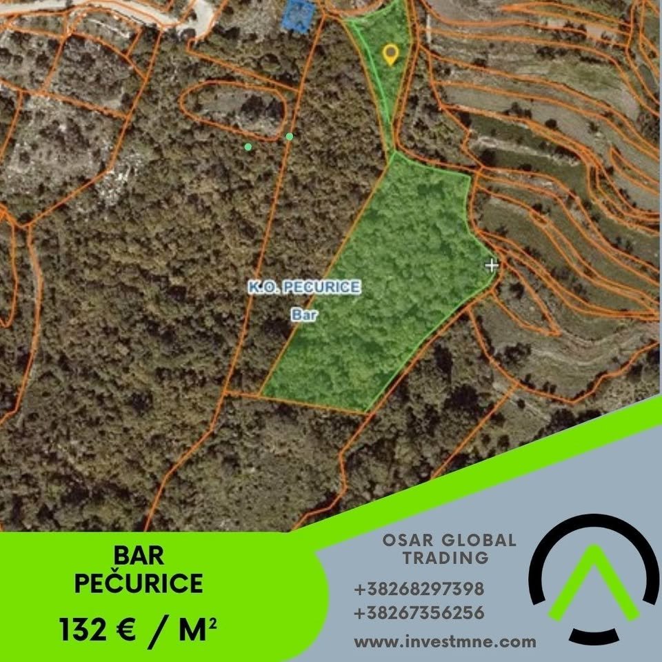 Bar _ Pecurice _ Arsa _ 16329 m²