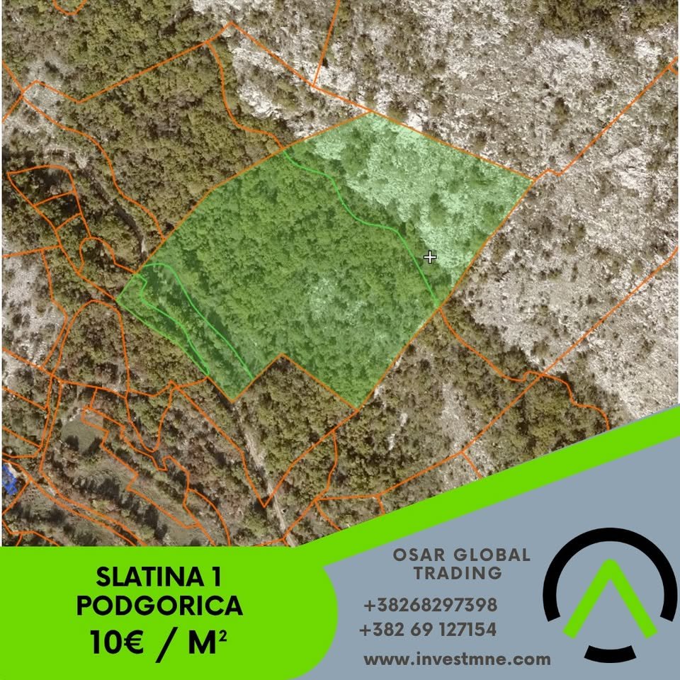 Danilovgrad _ Slatina _ Arsa _ 19393 m²